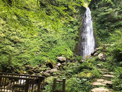 🏞️ 아메다키 폭포(아메다키) (공사 중/통행 금지)